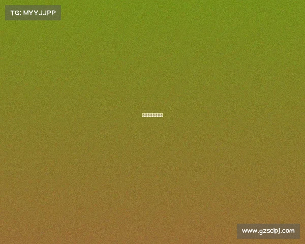 国外搏击教学视频